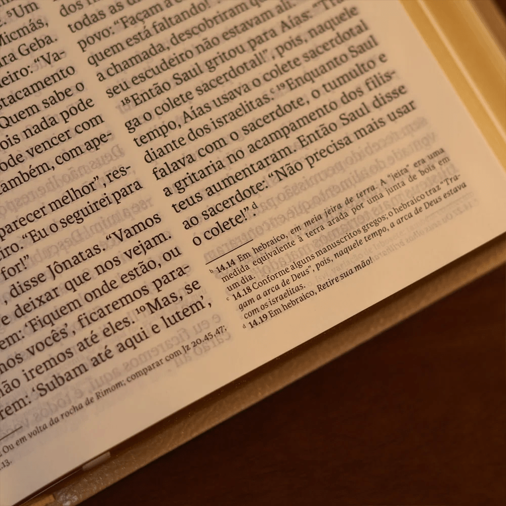 BIBLIA SAGRADA MAPAS MENTAIS NVT LETRA GIGANTE VINHO