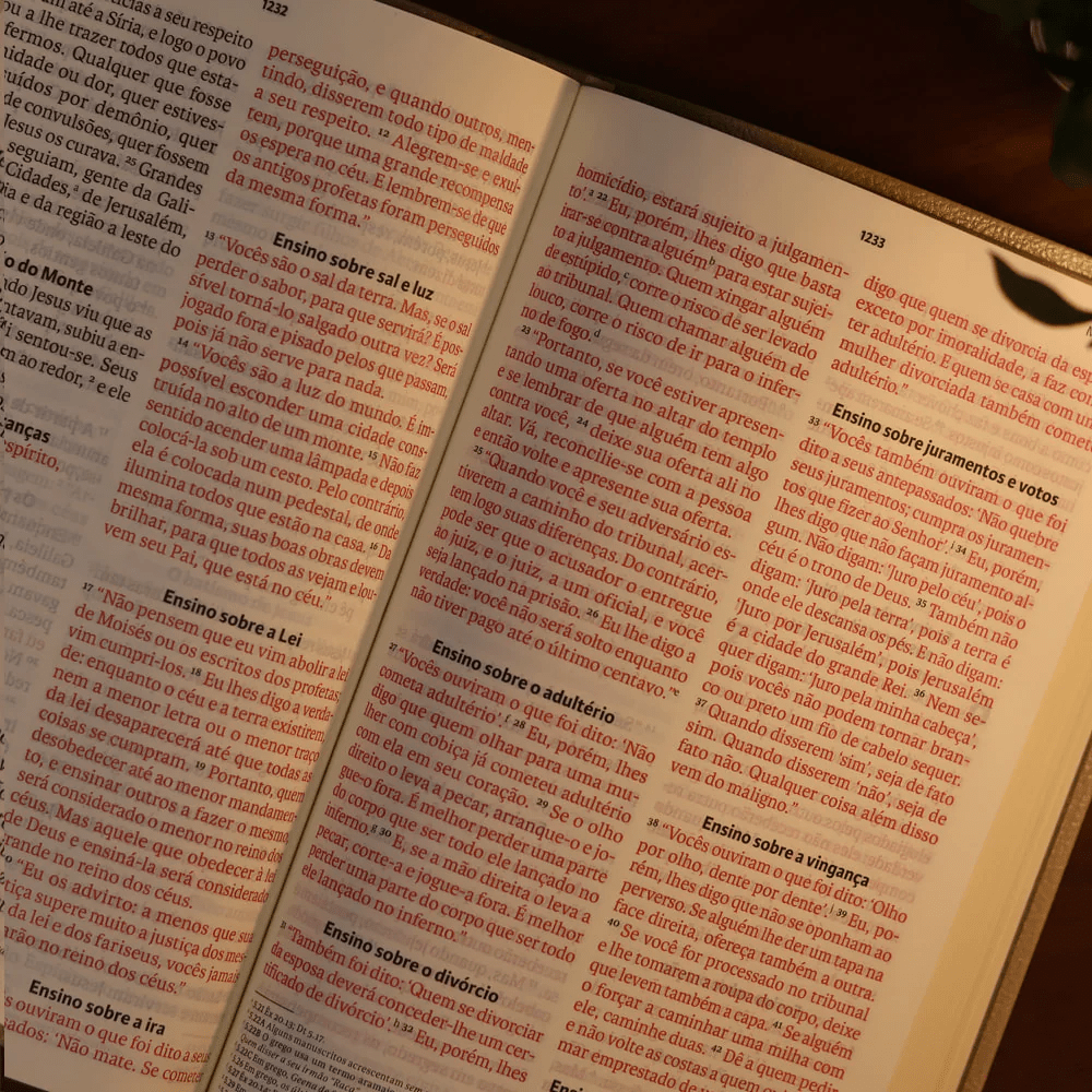 BIBLIA SAGRADA MAPAS MENTAIS NVT LETRA GIGANTE VINHO