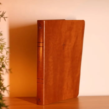 BIBLIA SAGRADA MAPAS MENTAIS NAA LETRA GRANDE MARROM
