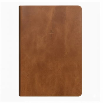BIBLIA SAGRADA MAPAS MENTAIS NAA LETRA GRANDE MARROM