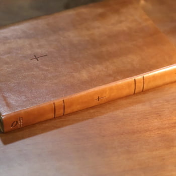 BIBLIA SAGRADA MAPAS MENTAIS NAA LETRA GRANDE MARROM