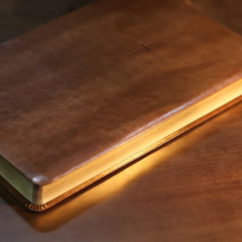 BIBLIA SAGRADA MAPAS MENTAIS NAA LETRA GRANDE MARROM