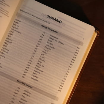 BIBLIA SAGRADA MAPAS MENTAIS NAA LETRA GRANDE MARROM
