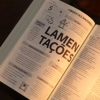 BIBLIA SAGRADA MAPAS MENTAIS NAA LETRA GRANDE MARROM