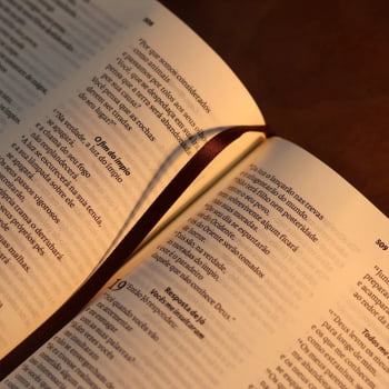 BIBLIA SAGRADA MAPAS MENTAIS NAA LETRA GRANDE MARROM