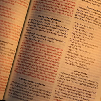 BIBLIA SAGRADA MAPAS MENTAIS NAA LETRA GRANDE MARROM