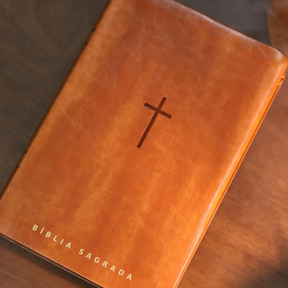 BIBLIA SAGRADA NVT LETRA GIGANTE CARAMELO