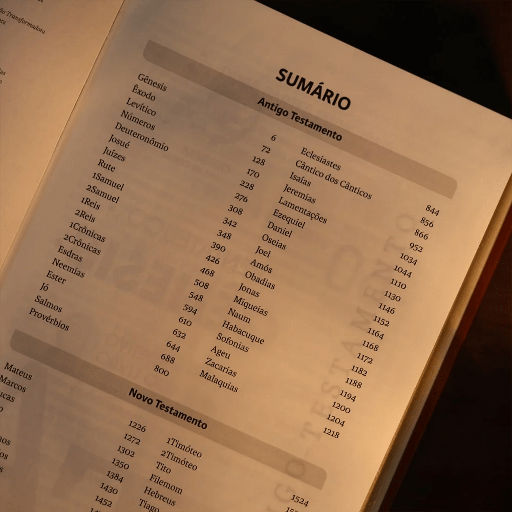 BIBLIA SAGRADA NVT LETRA GIGANTE CARAMELO