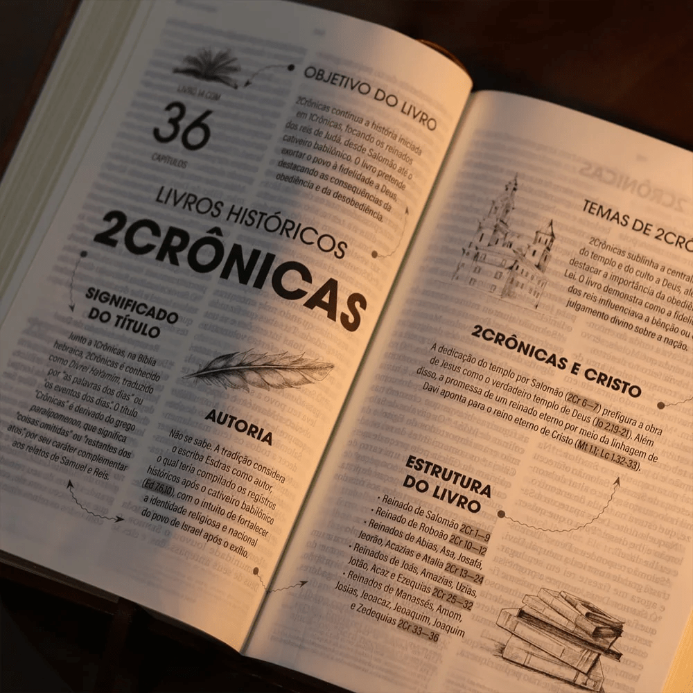 BIBLIA SAGRADA NVT LETRA GIGANTE CARAMELO