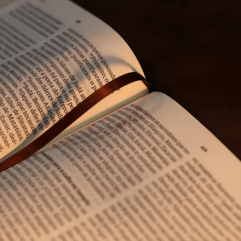 BIBLIA SAGRADA NVT LETRA GIGANTE CARAMELO