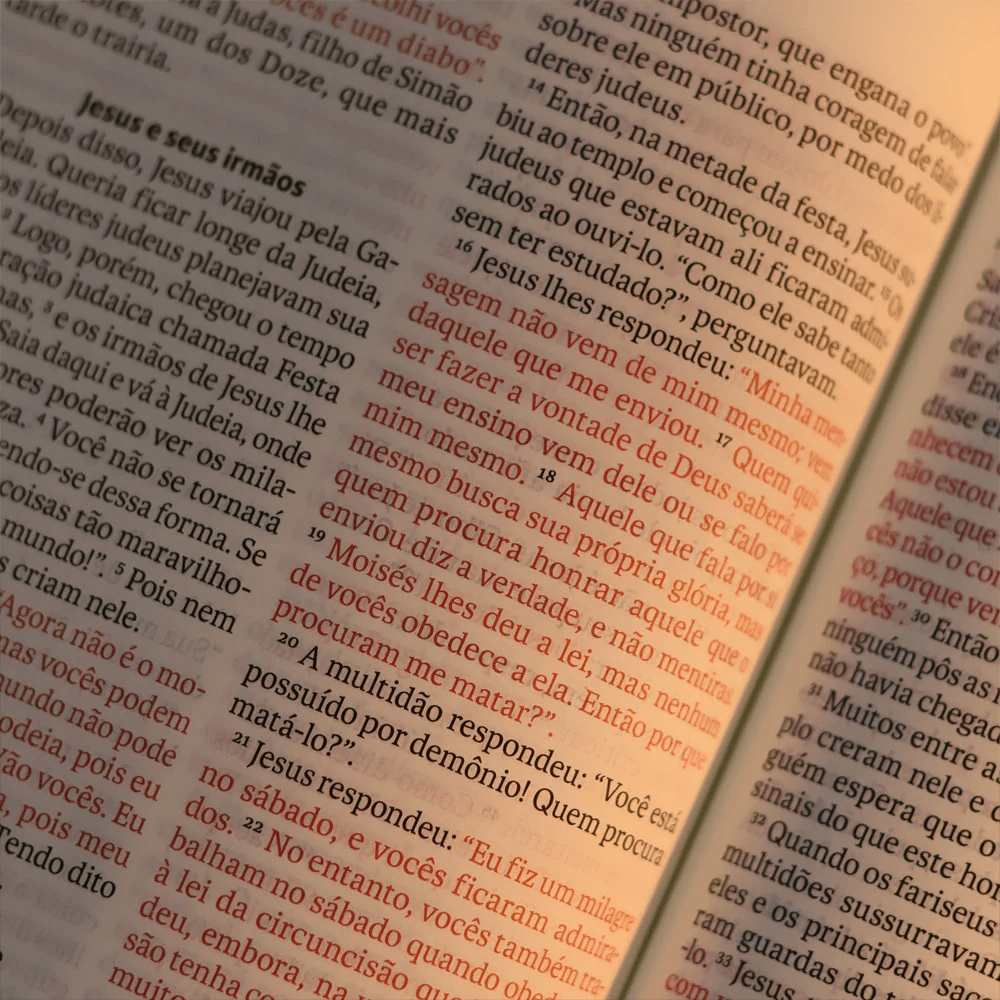 BIBLIA SAGRADA NVT LETRA GIGANTE CARAMELO