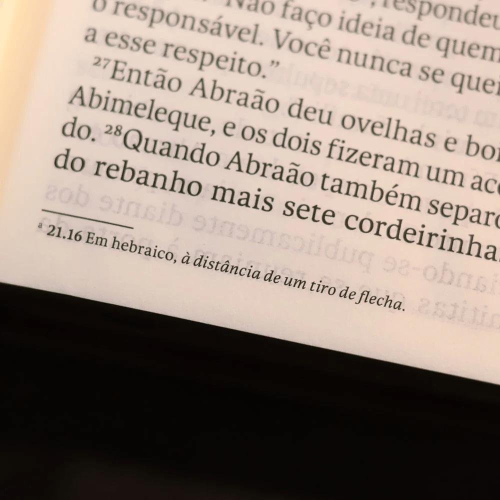 BIBLIA SAGRADA NVT LETRA GIGANTE CARAMELO