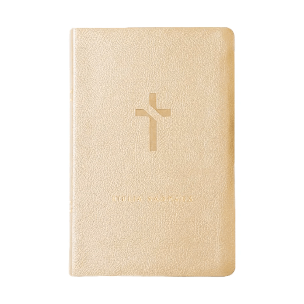 BIBLIA SLIM MAPA MENTAIS NVT SLIM BEGE