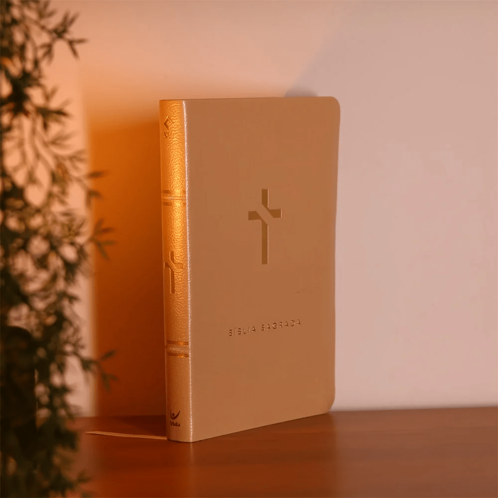 BIBLIA SLIM MAPA MENTAIS NVT SLIM BEGE