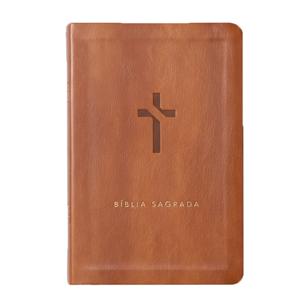 BIBLIA SLIM MAPA MENTAIS NVT SLIM MARROM
