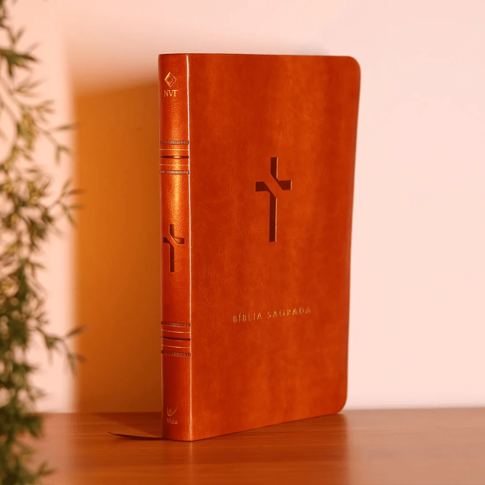 BIBLIA SLIM MAPA MENTAIS NVT SLIM MARROM
