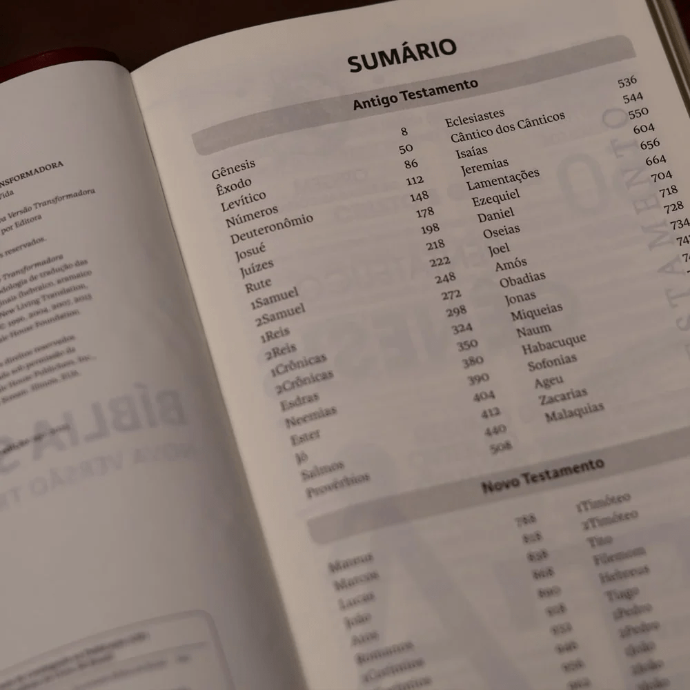 BIBLIA SLIM MAPA MENTAIS NVT SLIM MARROM