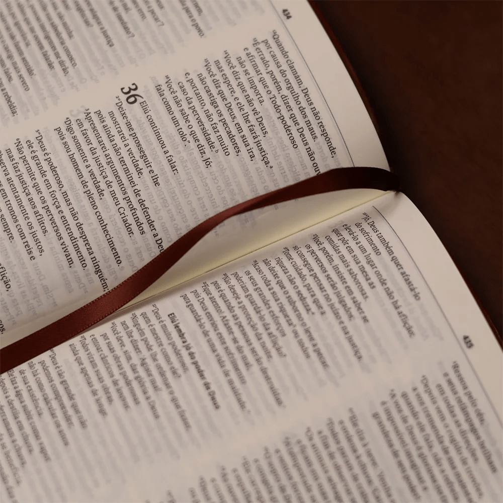 BIBLIA SLIM MAPA MENTAIS NVT SLIM MARROM