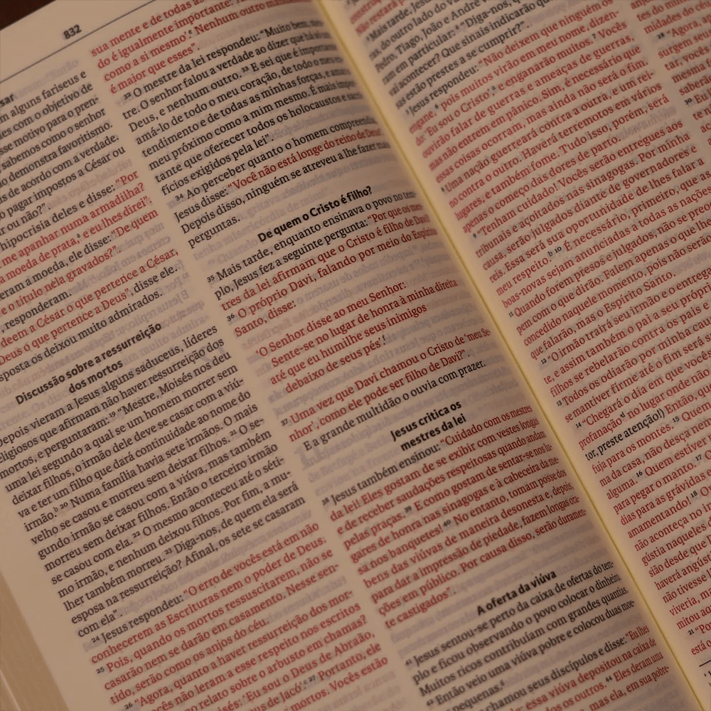 BIBLIA SLIM MAPA MENTAIS NVT SLIM MARROM