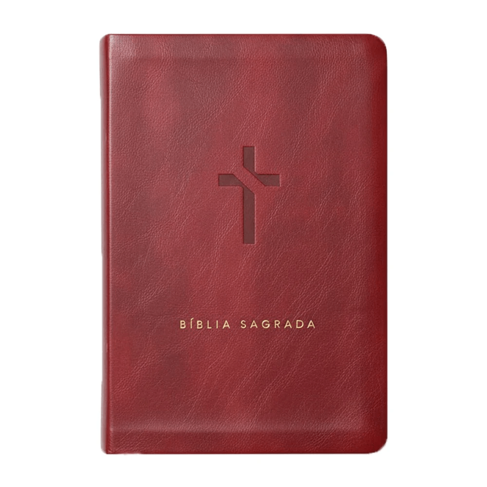 BIBLIA SLIM MAPA MENTAIS NVT SLIM VINHO