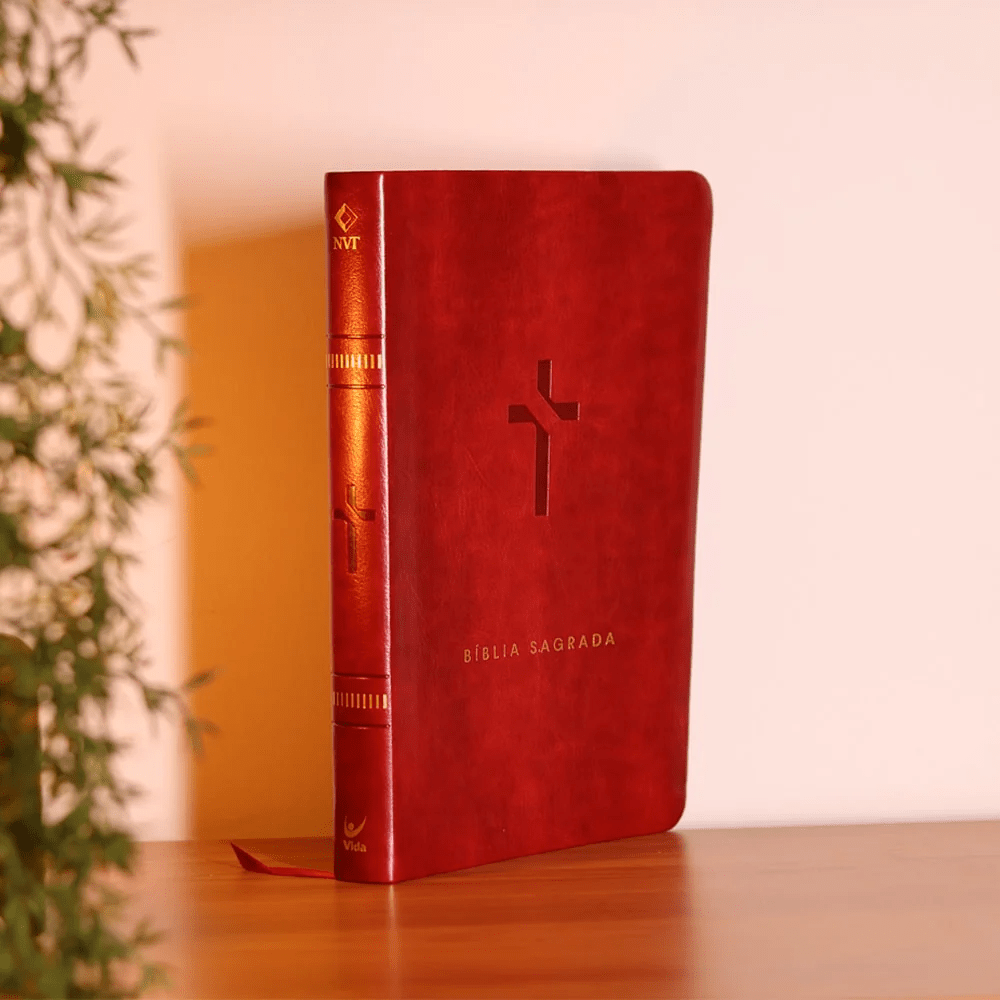 BIBLIA SLIM MAPA MENTAIS NVT SLIM VINHO