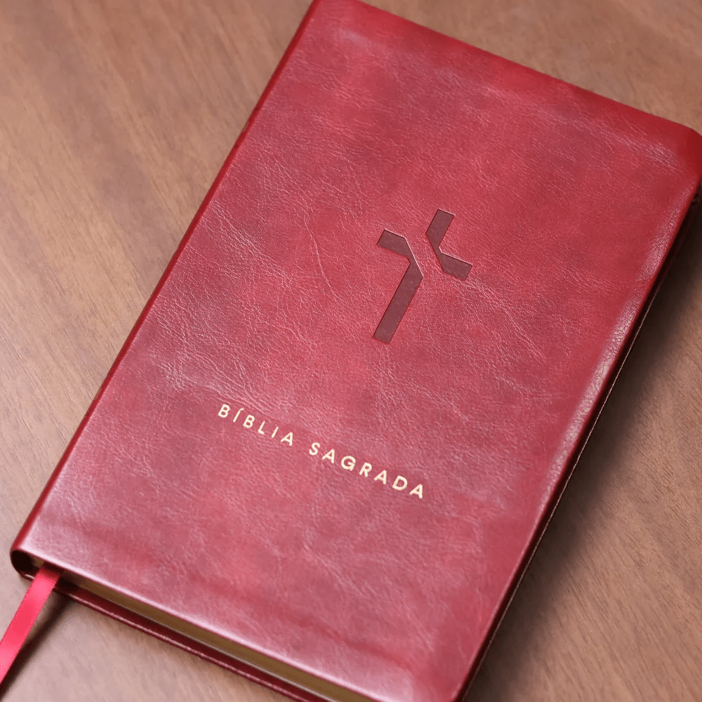 BIBLIA SLIM MAPA MENTAIS NVT SLIM VINHO