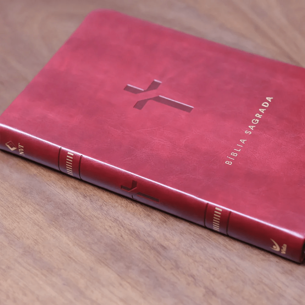 BIBLIA SLIM MAPA MENTAIS NVT SLIM VINHO