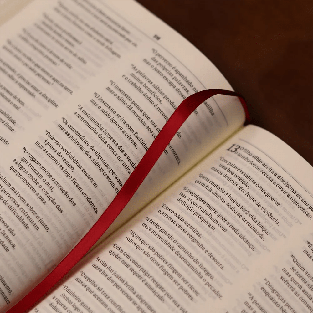 BIBLIA SLIM MAPA MENTAIS NVT SLIM VINHO