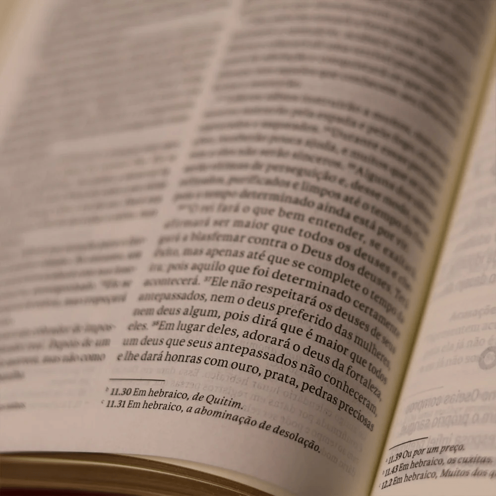 BIBLIA SLIM MAPA MENTAIS NVT SLIM VINHO
