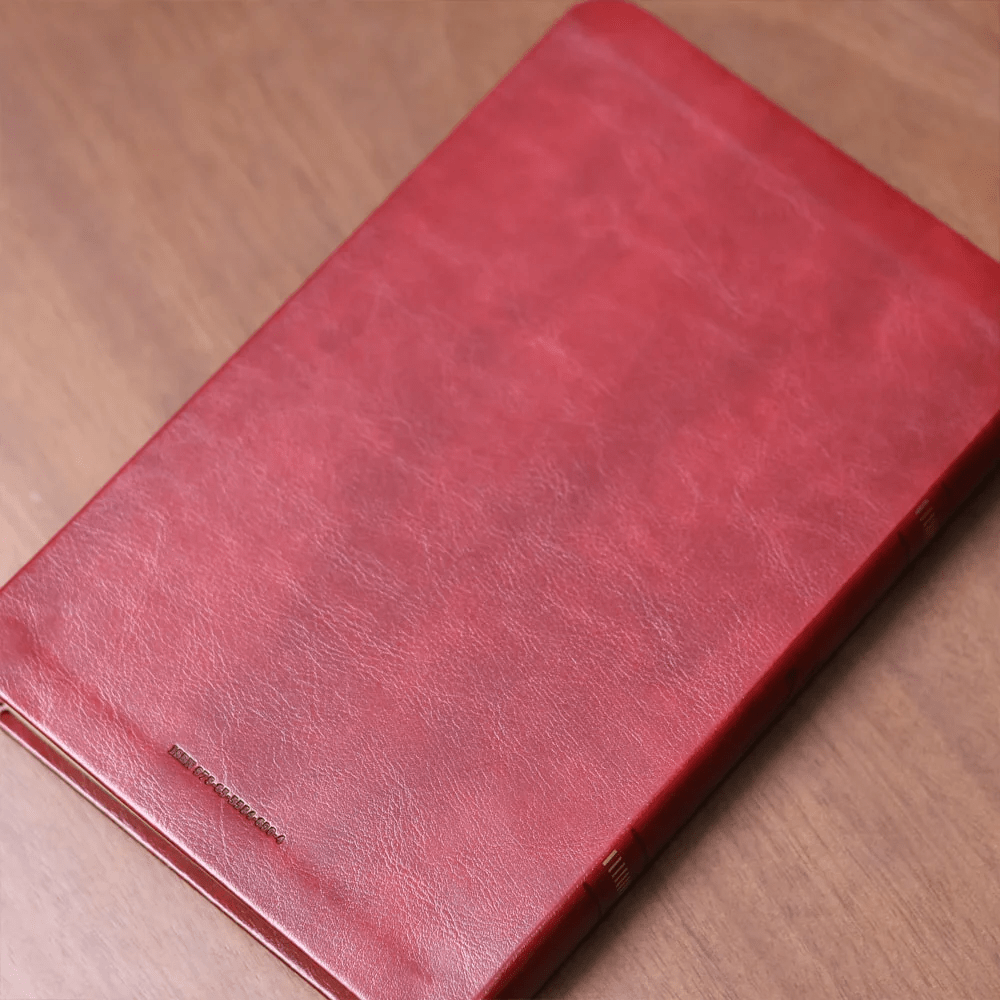 BIBLIA SLIM MAPA MENTAIS NVT SLIM VINHO