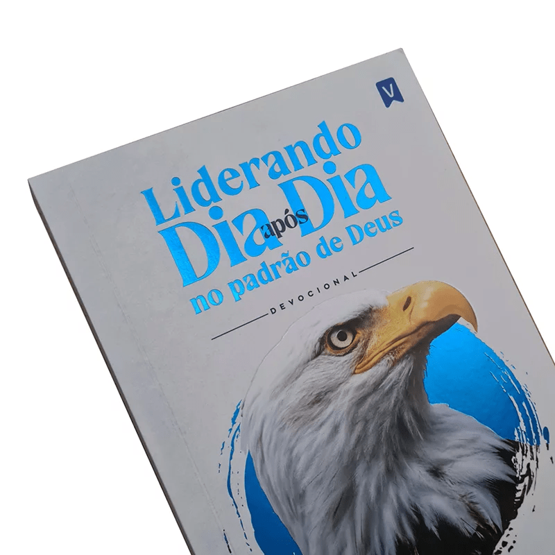 DEVOCIONAL - LIDERANDO DIA APÓS DIA NO PADRÃO DE DEUS