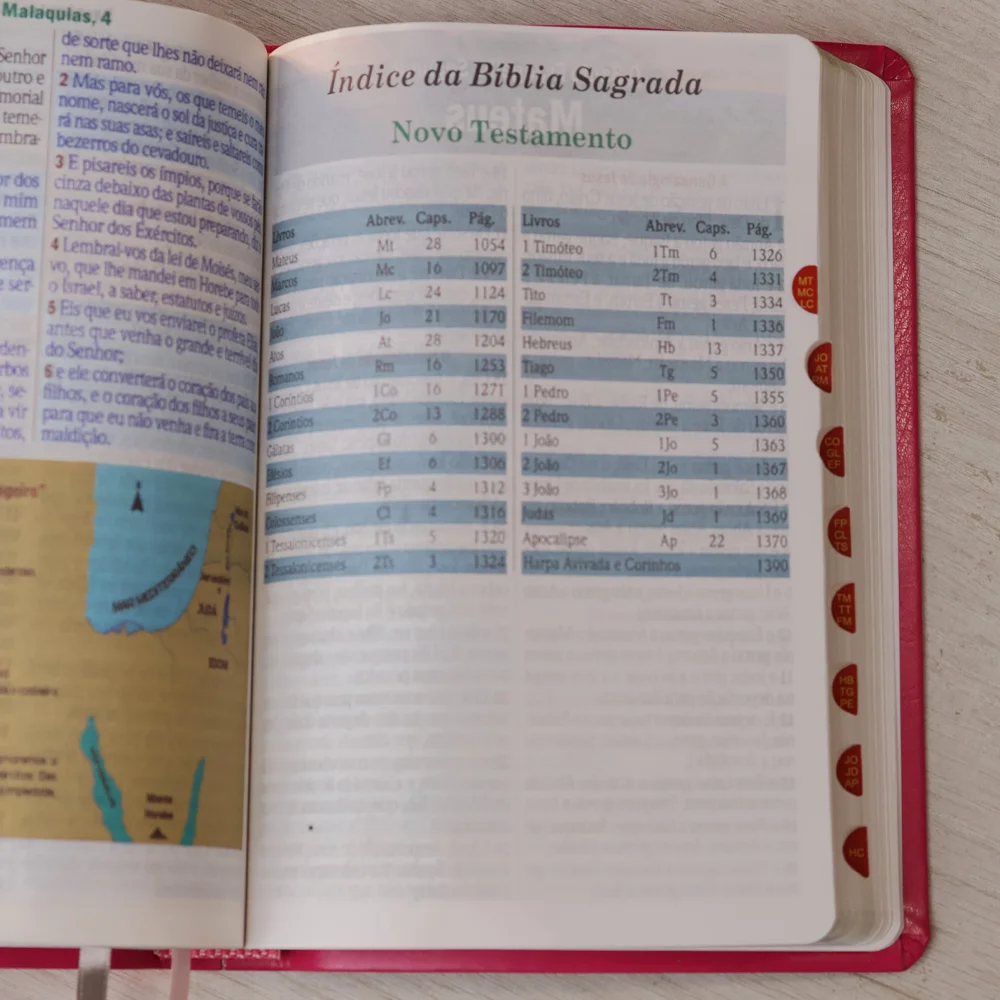 BÍBLIA SAGRADA | LETRA HIPERGIGANTE | ARC | HARPA AVIVADA E CORINHOS | CAPA PU LUXO FLORAL MARGARIDA PINK