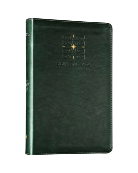 THE PURPOSE BOOK: BÍBLIA SAGRADA, A21, CAPA COURO-SOFT VERDE, LUZ