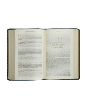 THE PURPOSE BOOK: BÍBLIA SAGRADA, A21, CAPA COURO-SOFT AZUL, REINO