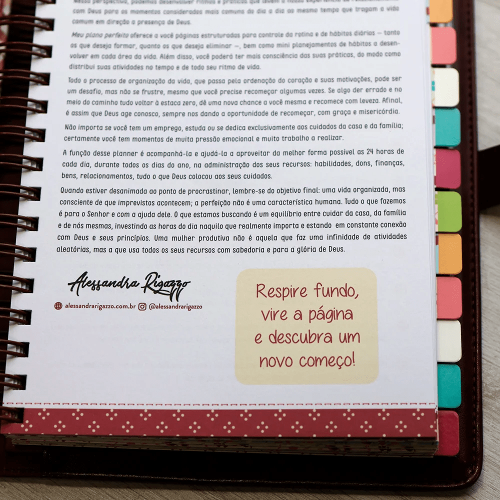 MEU PLANO PERFEITO, PLANNER ANUAL NÃO DATADO COM SOBRECAPA EXECUTIVA EM COURO-SOFT, CAPA XADREZ