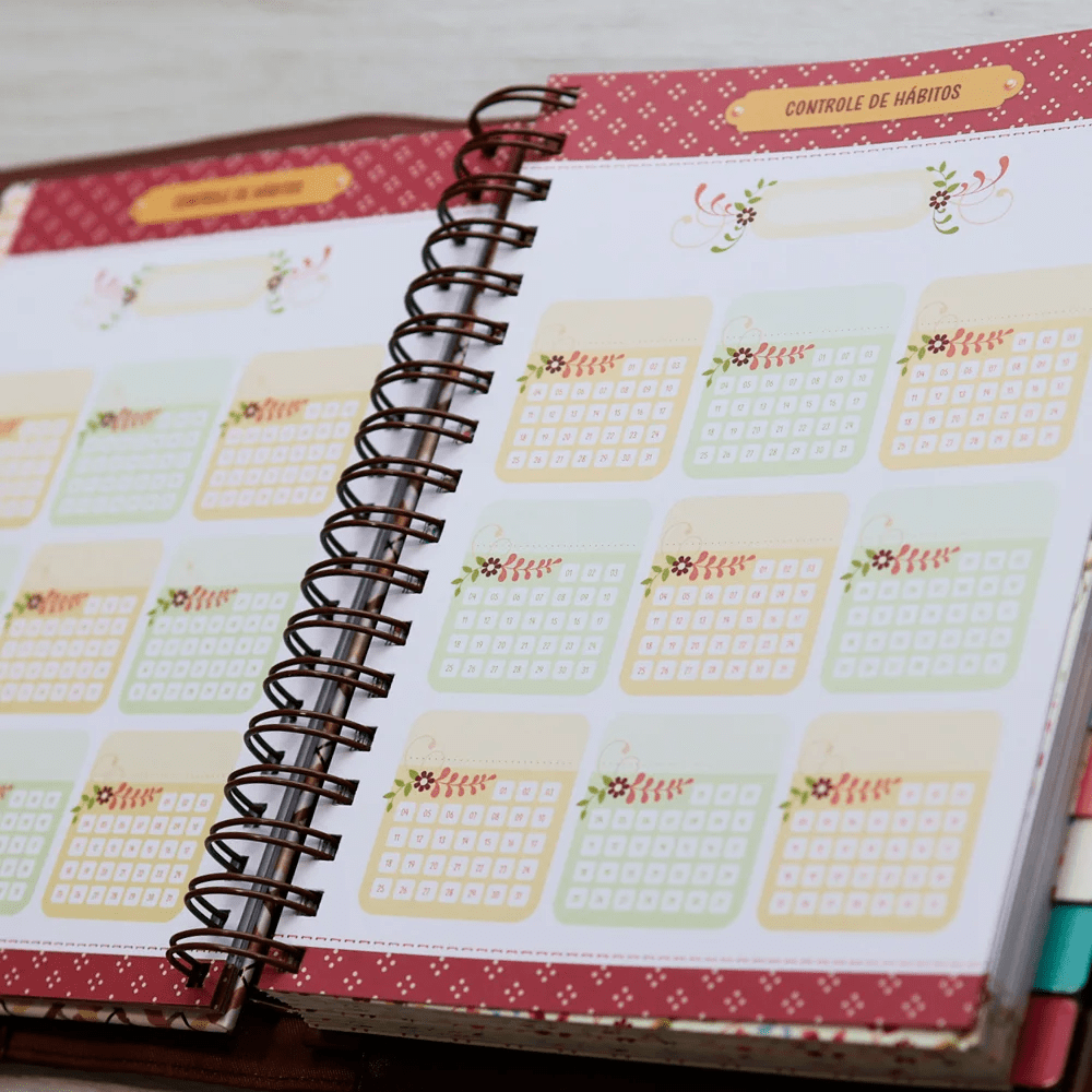 MEU PLANO PERFEITO, PLANNER ANUAL NÃO DATADO COM SOBRECAPA EXECUTIVA EM COURO-SOFT, CAPA XADREZ